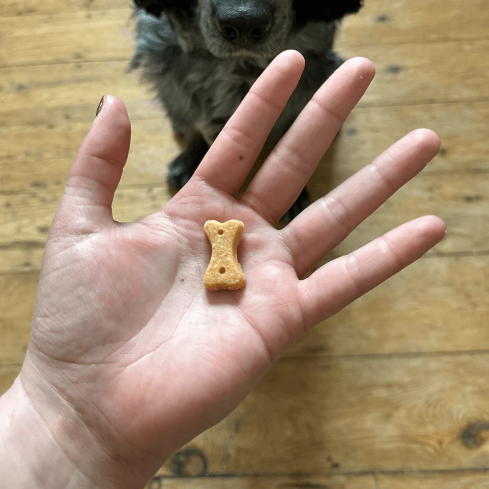 Cashew Dog Treats with Pumpkin Seed & Carrot - Image 5