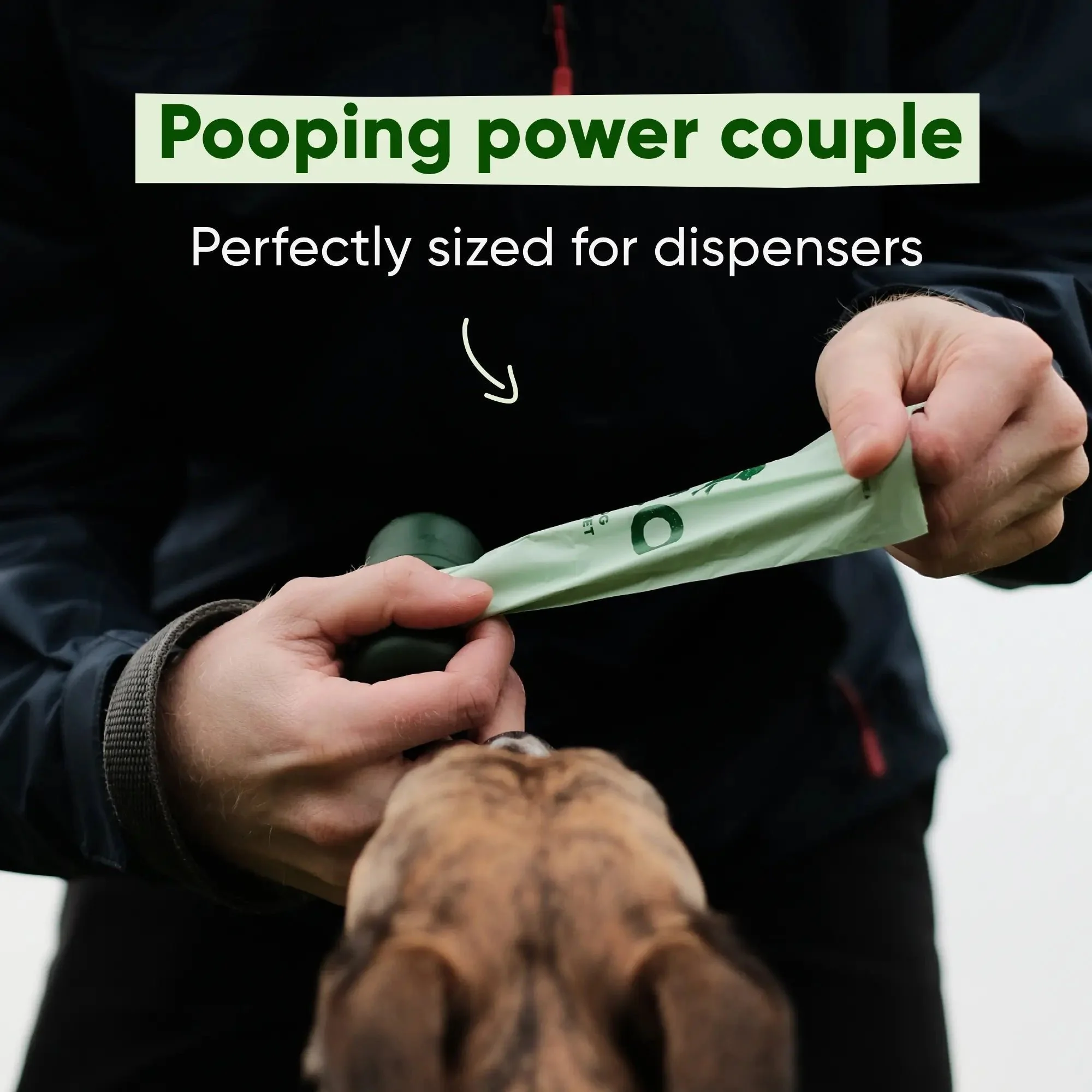 Mucky Pup Bundle - Image 5