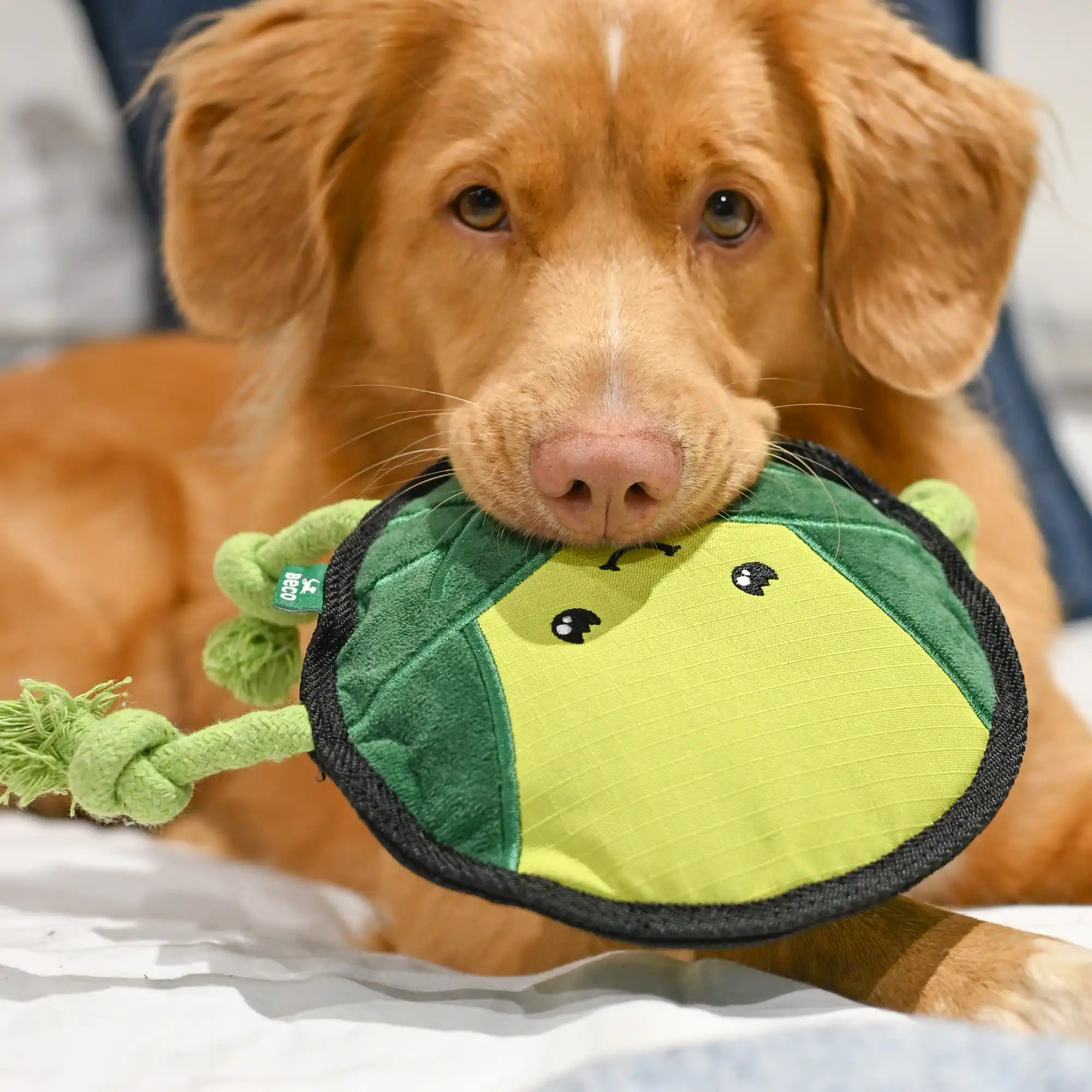 Clean-up & Play Starter Kit - Image 8
