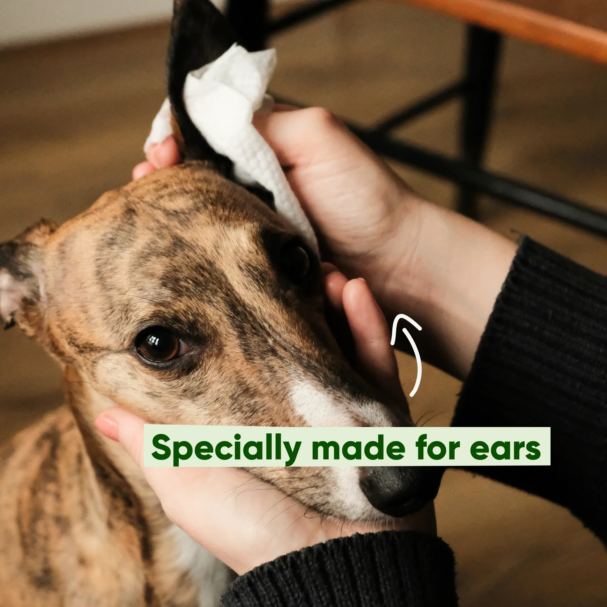 Dog Ear Cleaning Wipes - Image 5