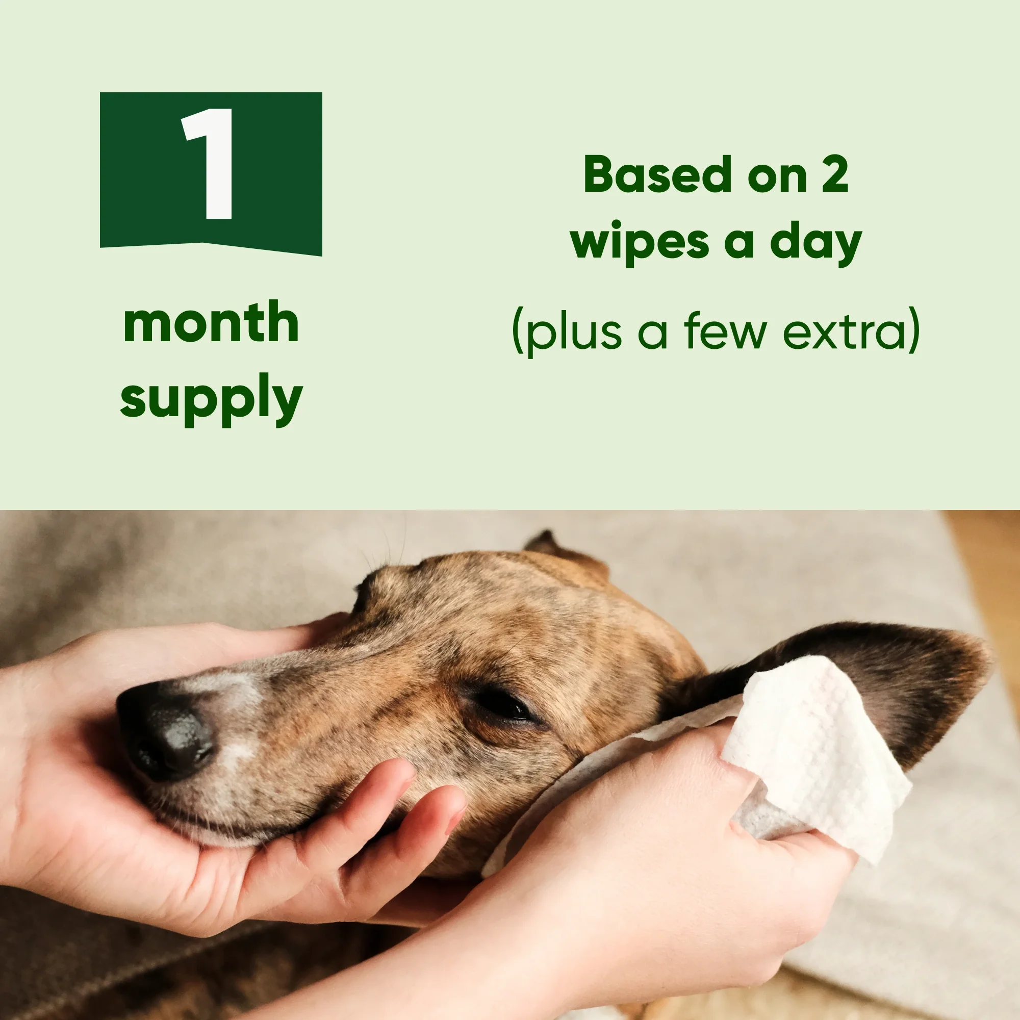 Dog Ear Cleaning Wipes - Image 6