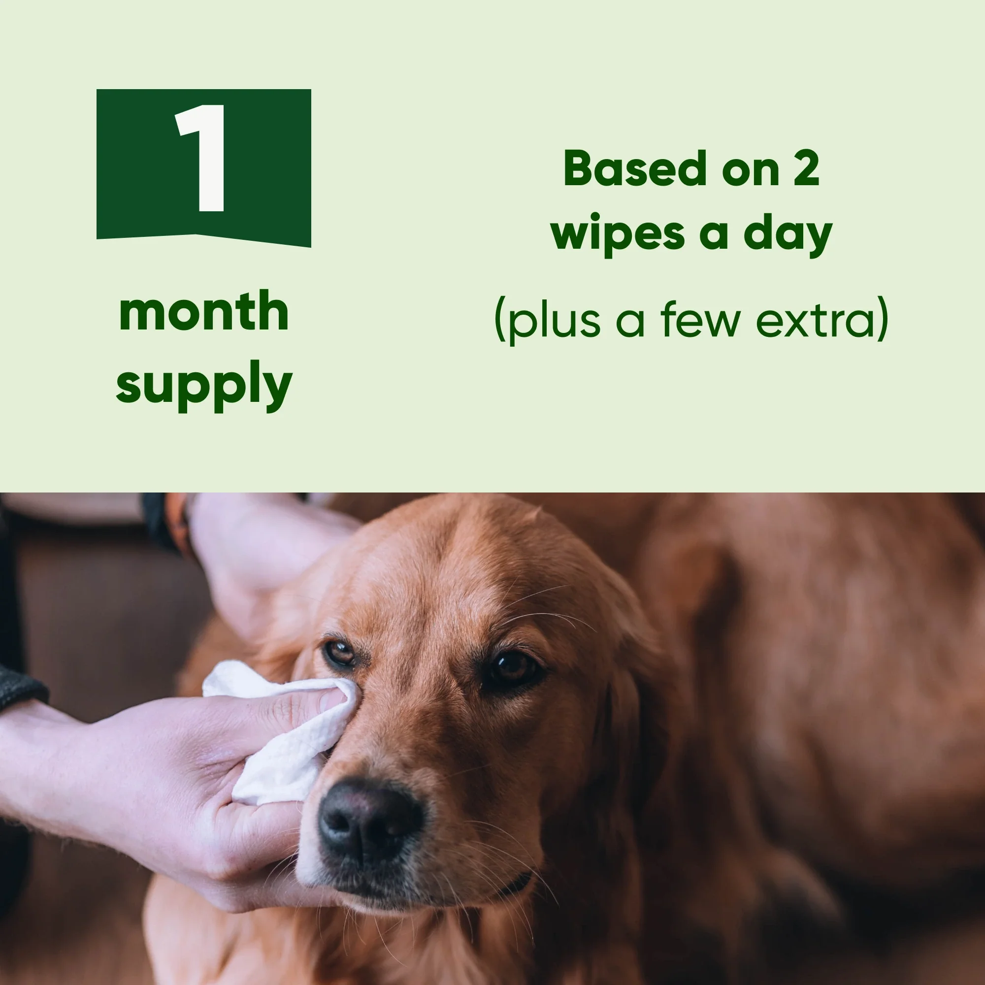 Dog Eye Cleaning Wipes - Image 6