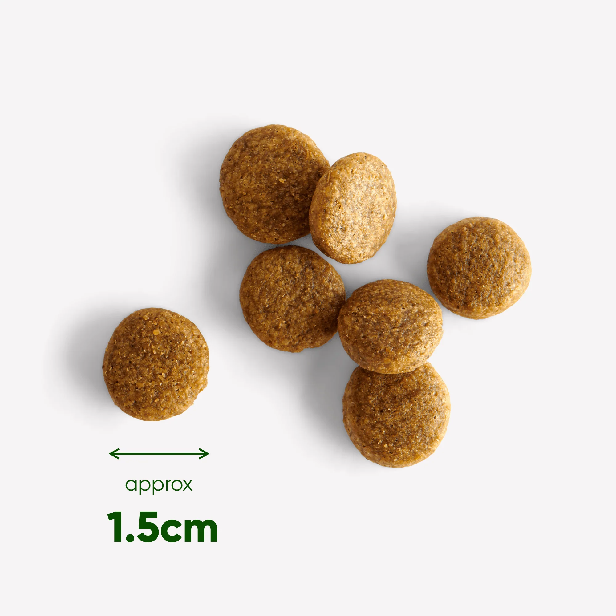 Free Range Chicken Dry Food with Carrot & Chicory - Image 8