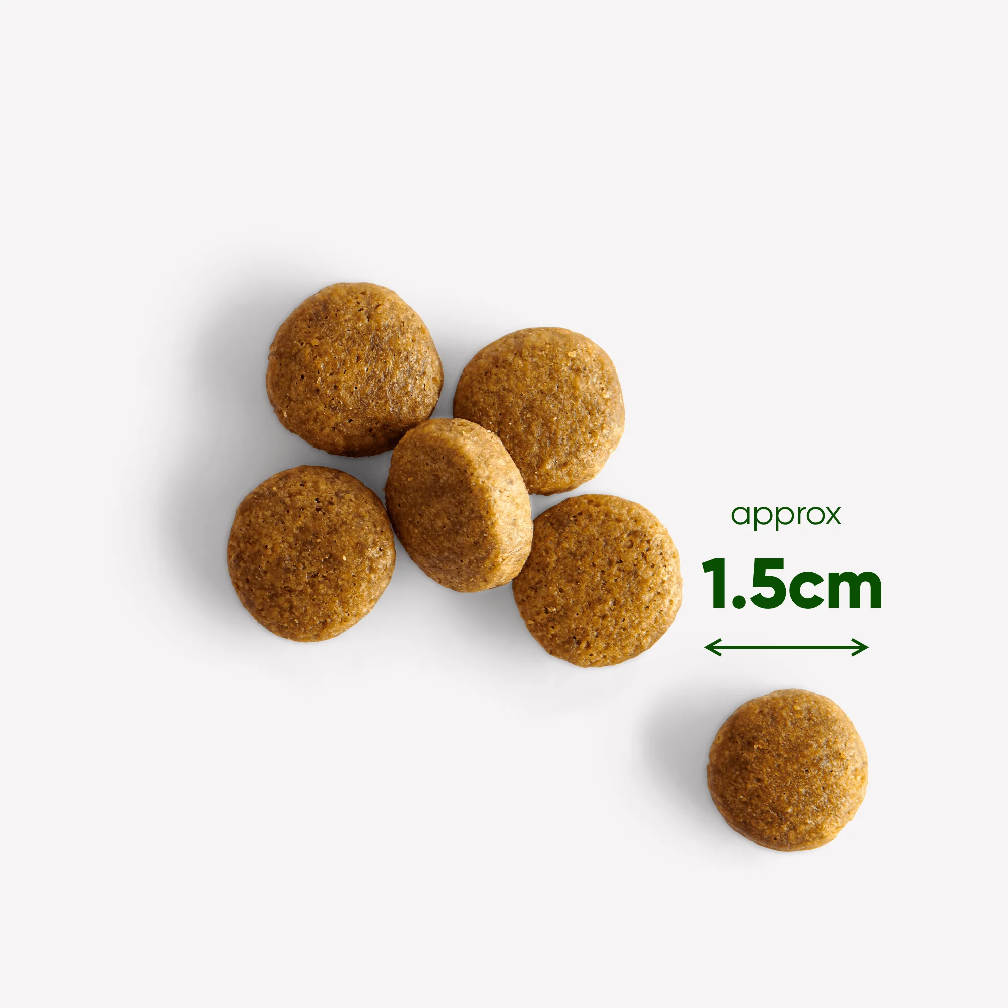 Wild Boar Dry Food with Pumpkin & Broccoli - Image 8