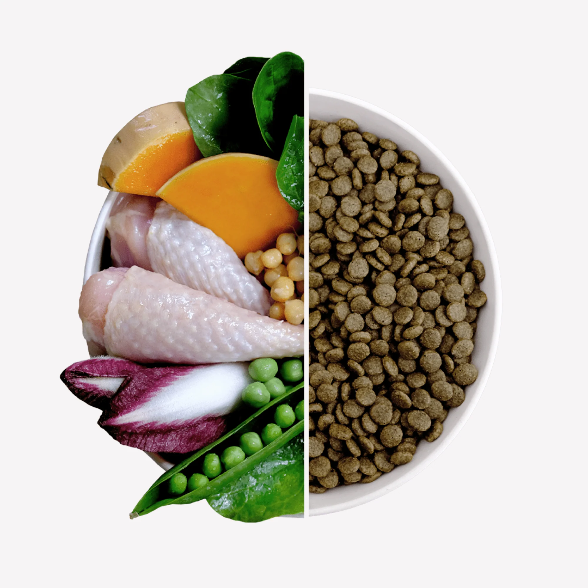 Free-Range Turkey Puppy Food with Pumpkin & Spinach - Image 4