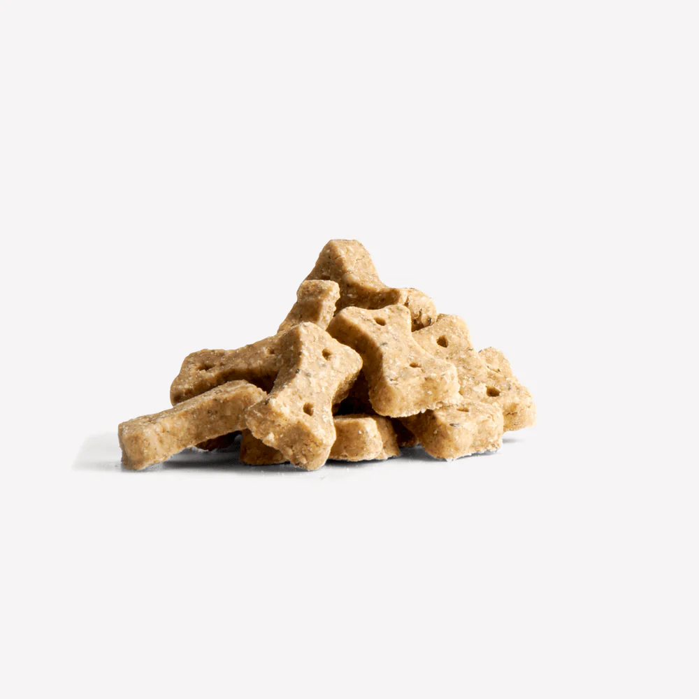 Insect Dog Treats with Apple & Chia Seeds - Image 3