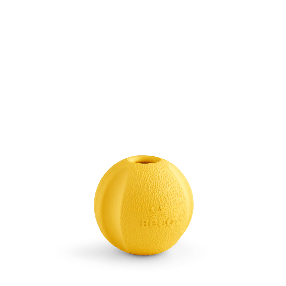 Fetch Ball - Image 5