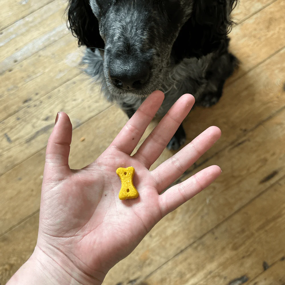 Peanut Dog Treats with Coconut & Turmeric - Image 4