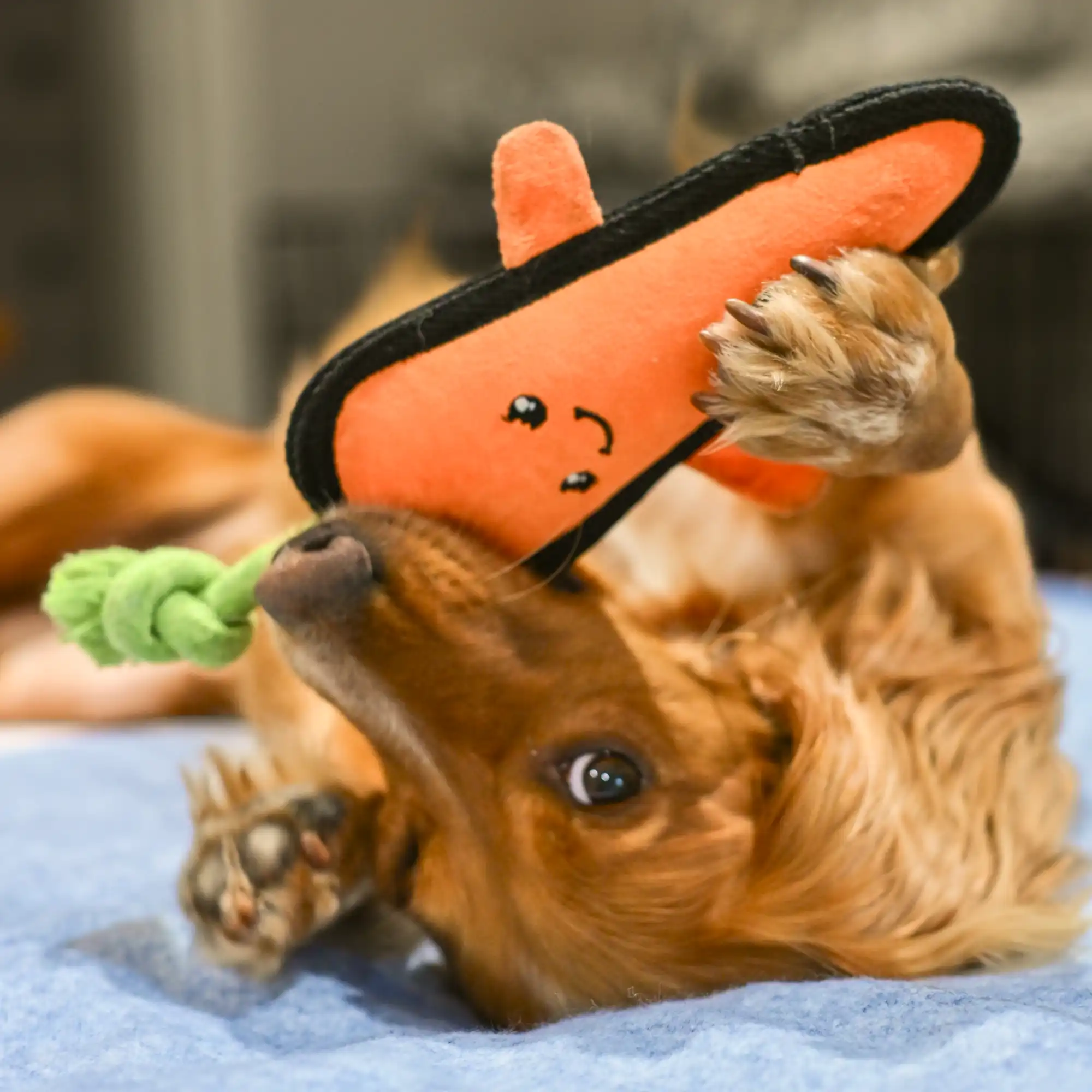 Plush Carrot Dog Toy - Image 2