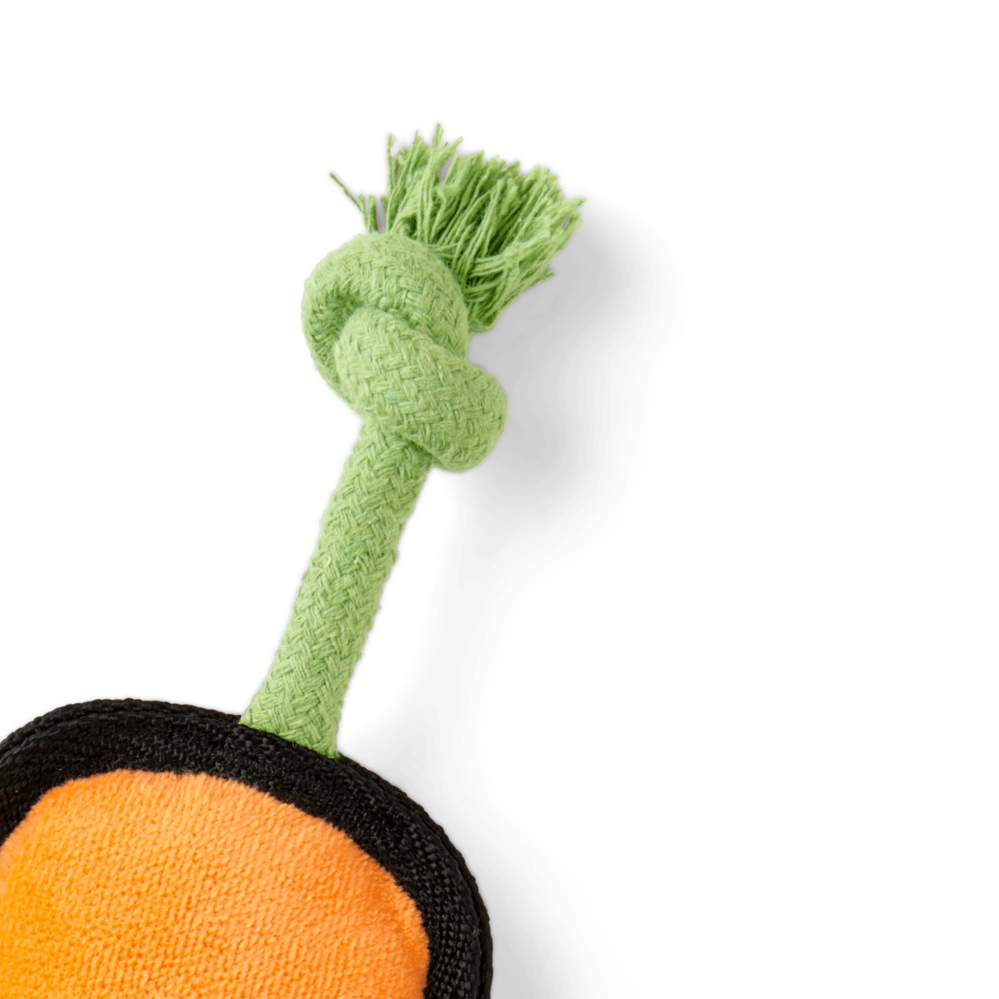 Plush Carrot Dog Toy - Image 3