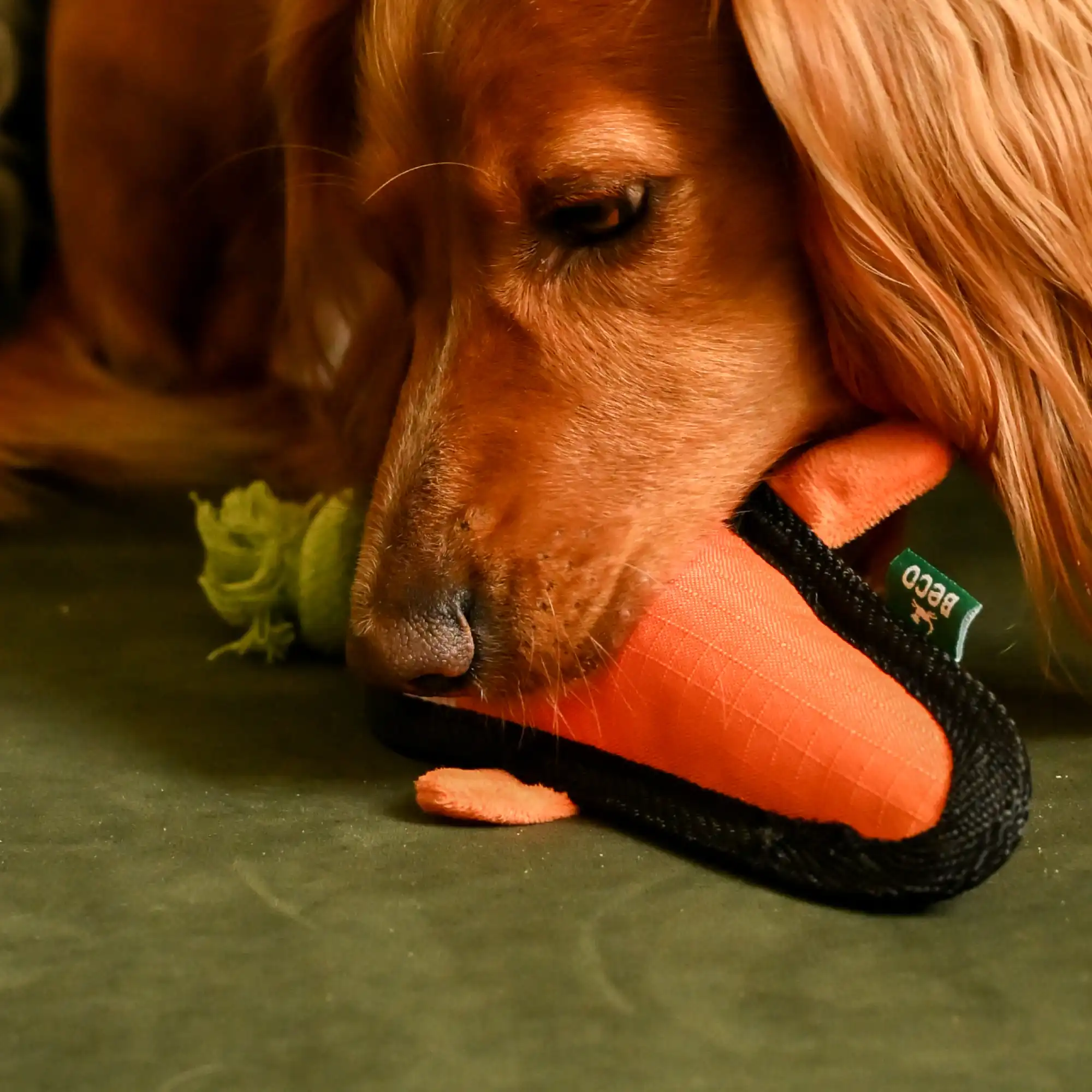 Plush Carrot Dog Toy - Image 4