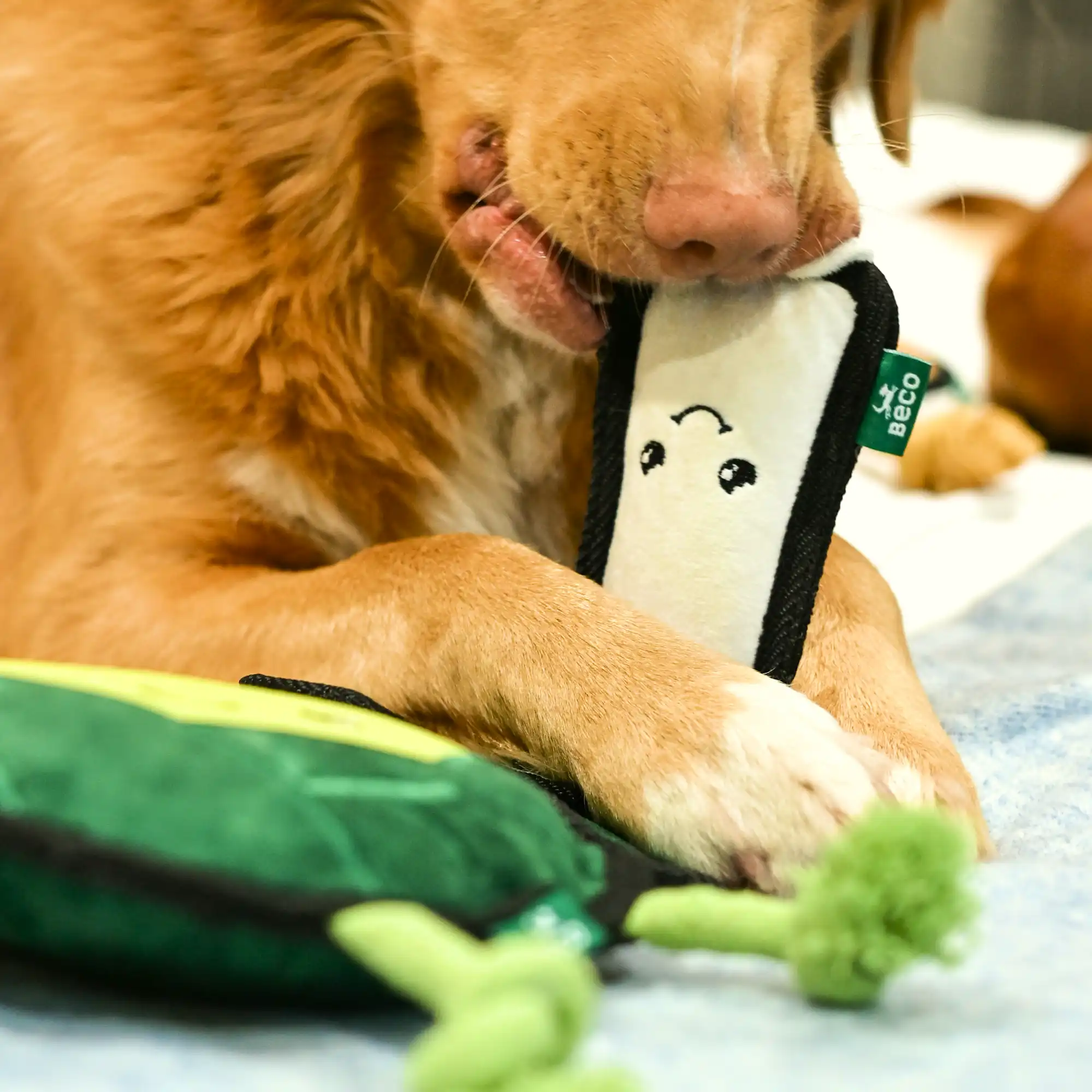 Plush Leek Dog Toy - Image 4