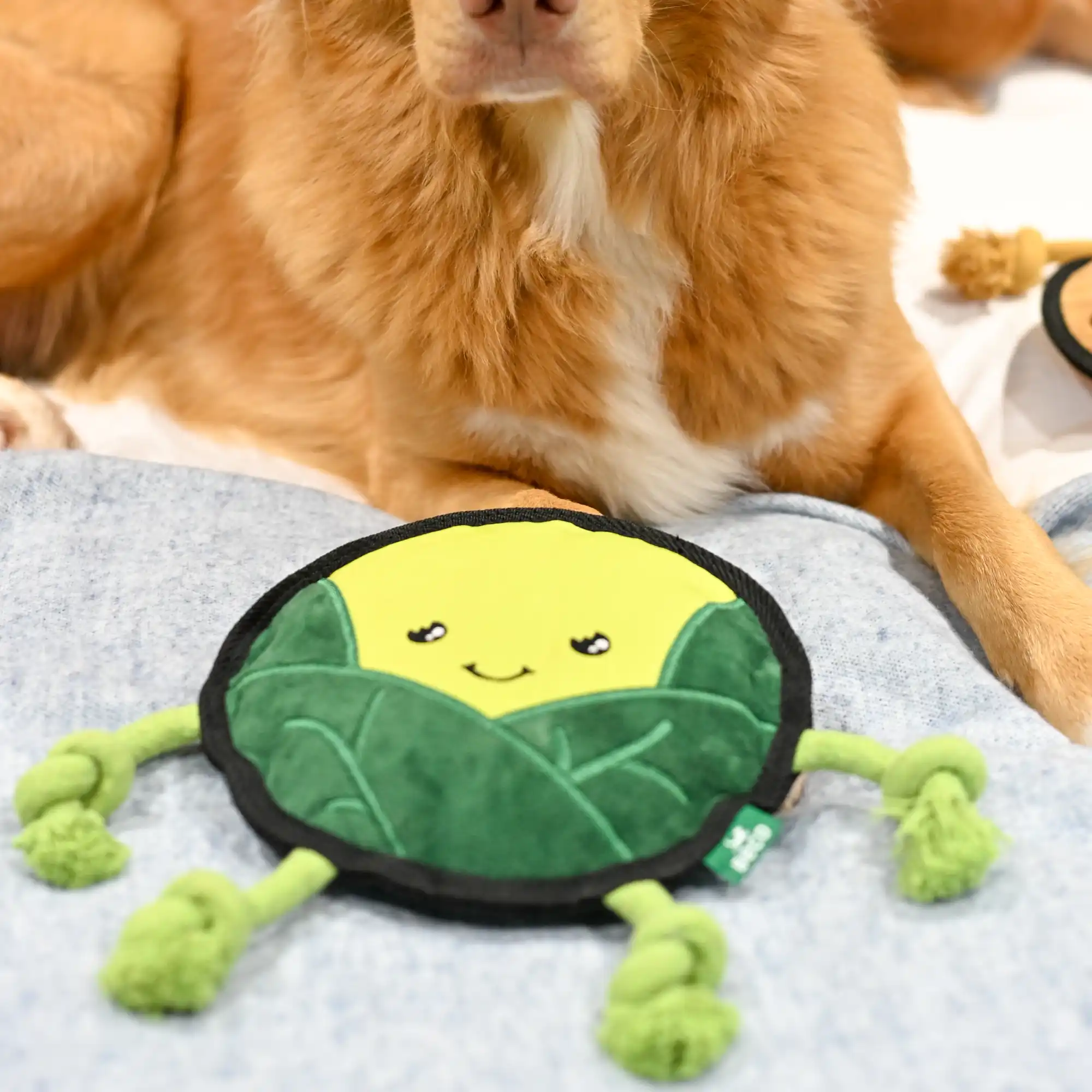Plush Sprout Dog Toy - Image 5