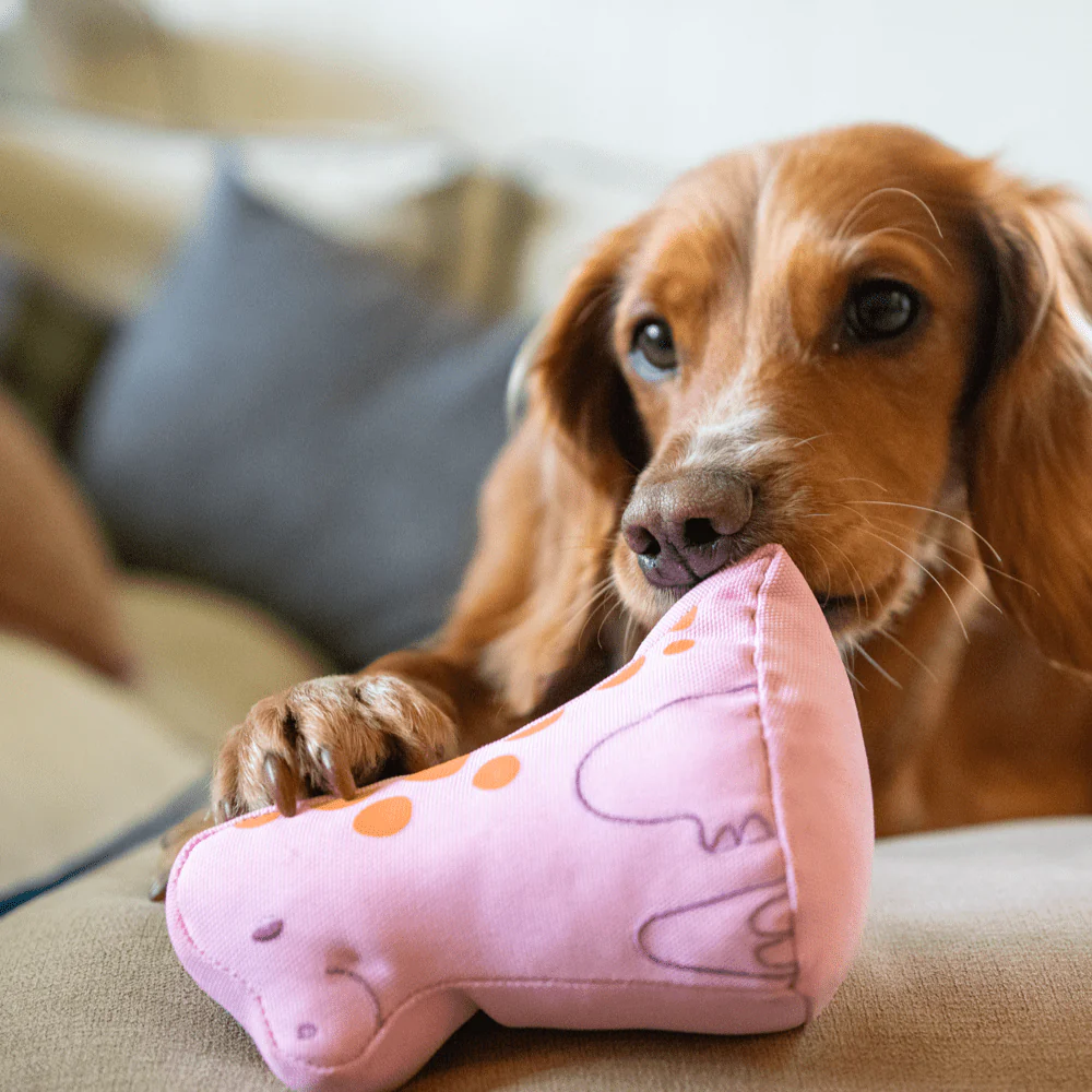 Pink Baby Dinosaur Dog Toy - Image 4