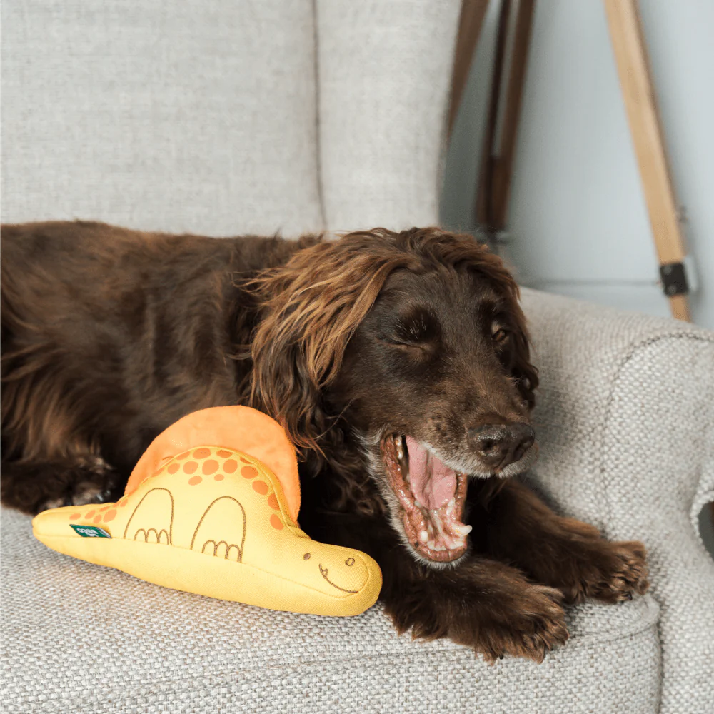 Dimetrodon Dinosaur Dog Toy - Image 2