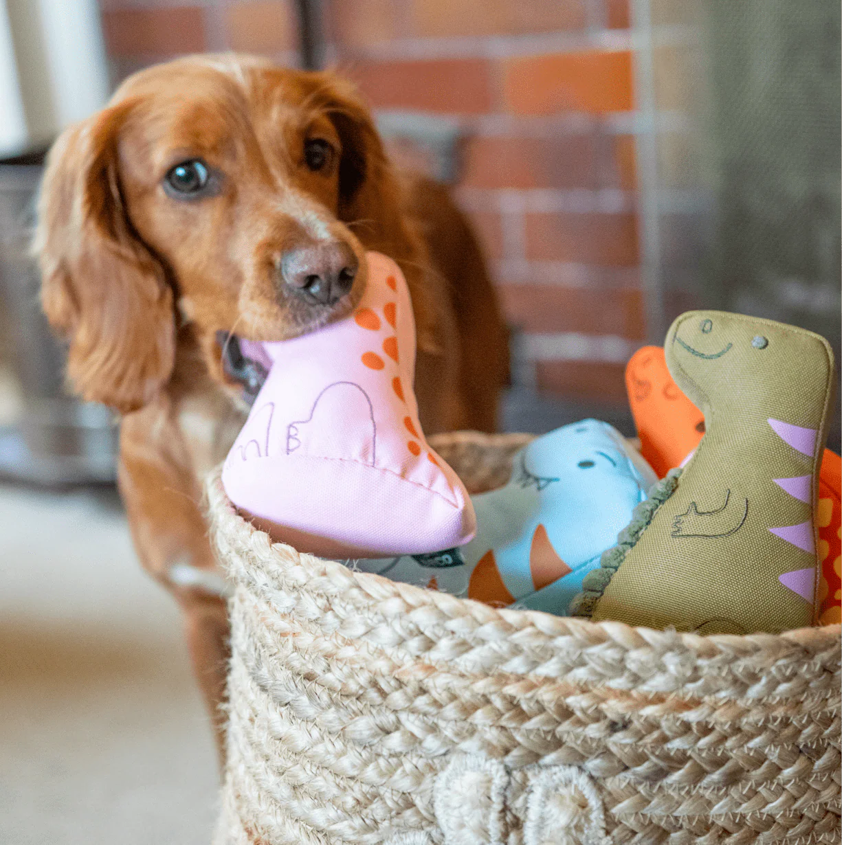 Pink Baby Dinosaur Dog Toy - Image 3
