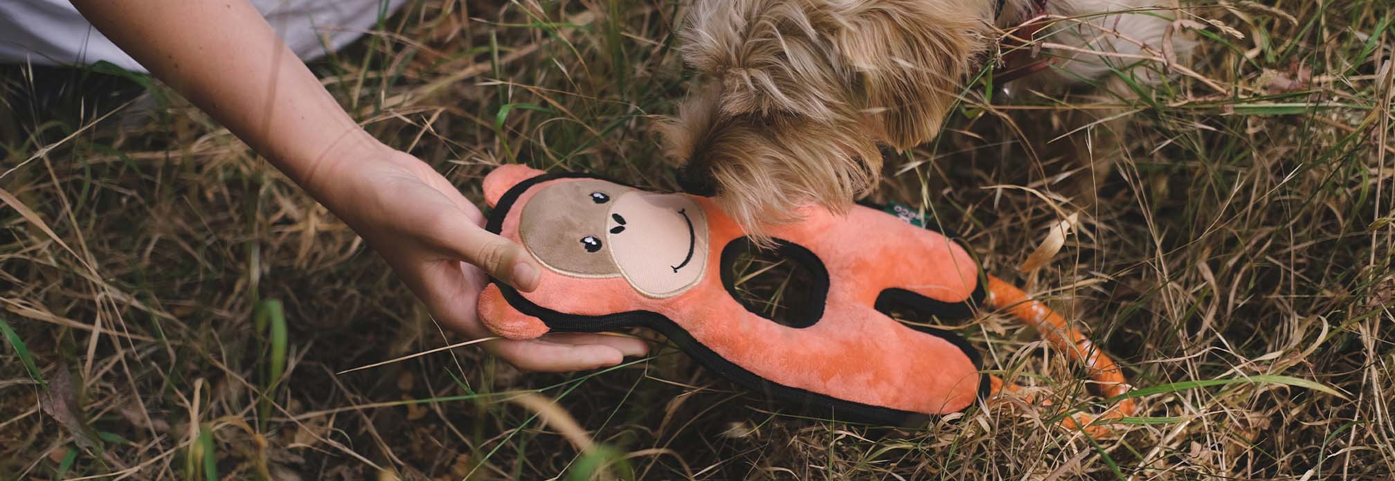 Plush Orangutan Dog Toy - Image 3