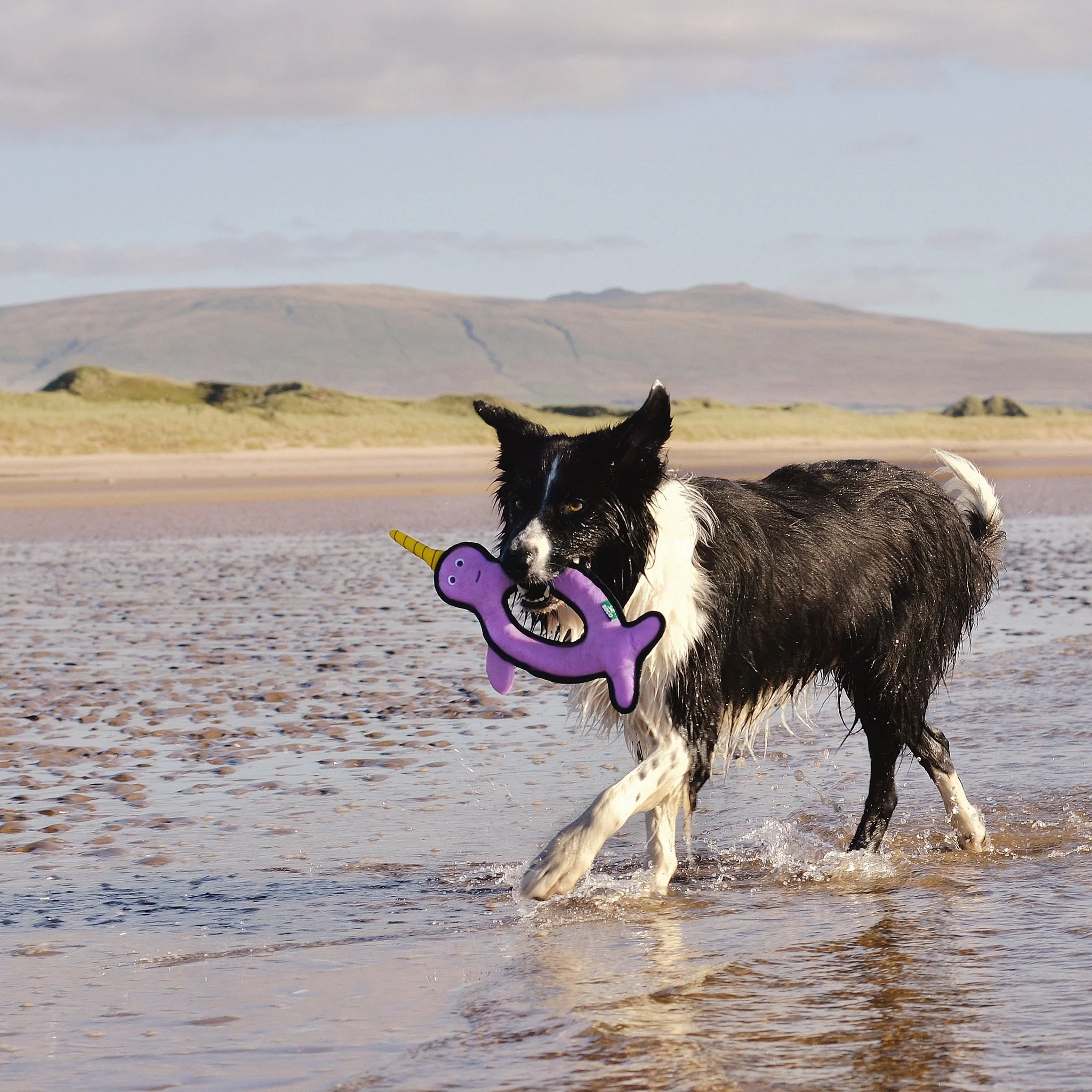 Plush Narwhal Dog Toy - Image 6
