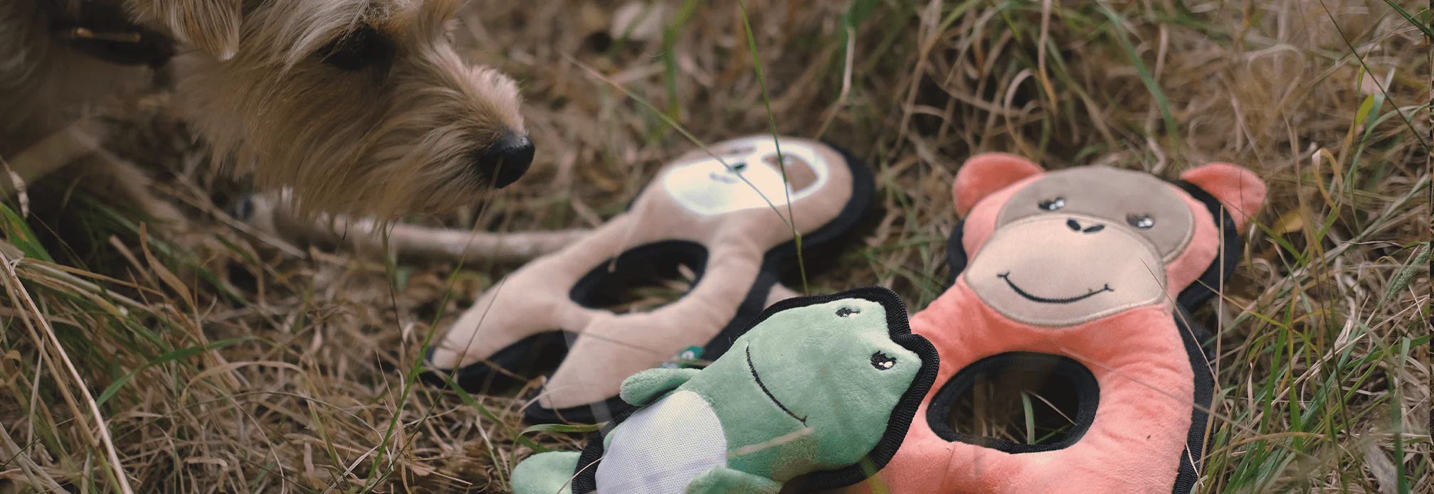 Plush Sloth Dog Toy - Image 3